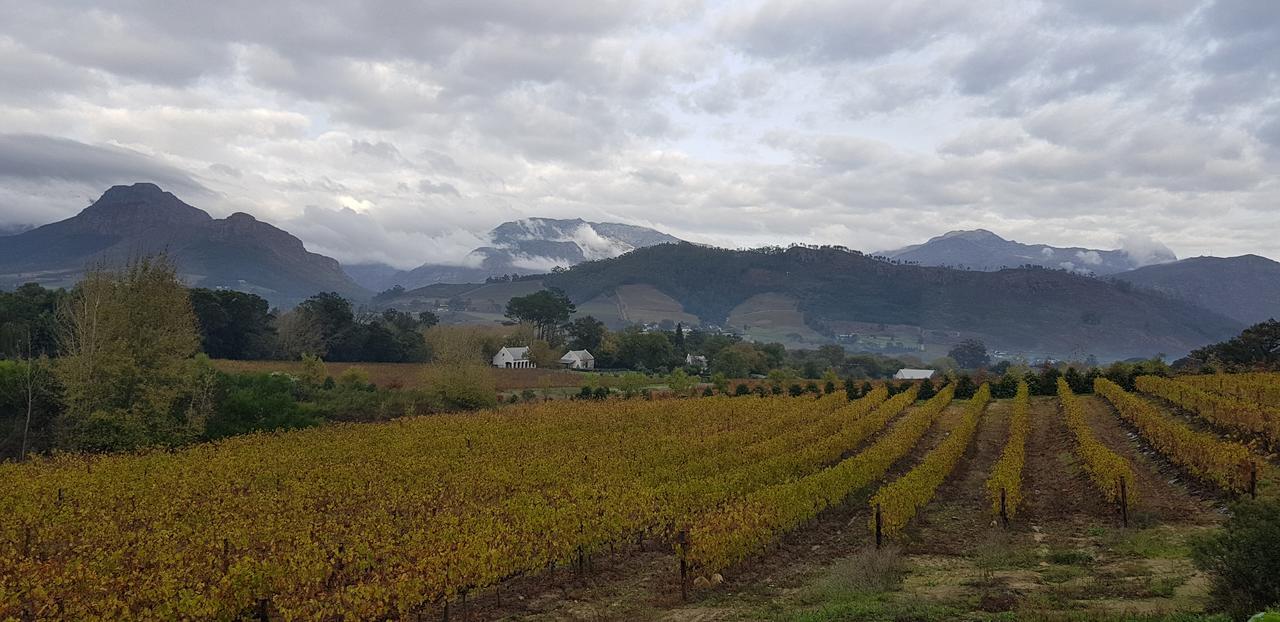 La Cotte Forest Cottages Franschhoek Buitenkant foto