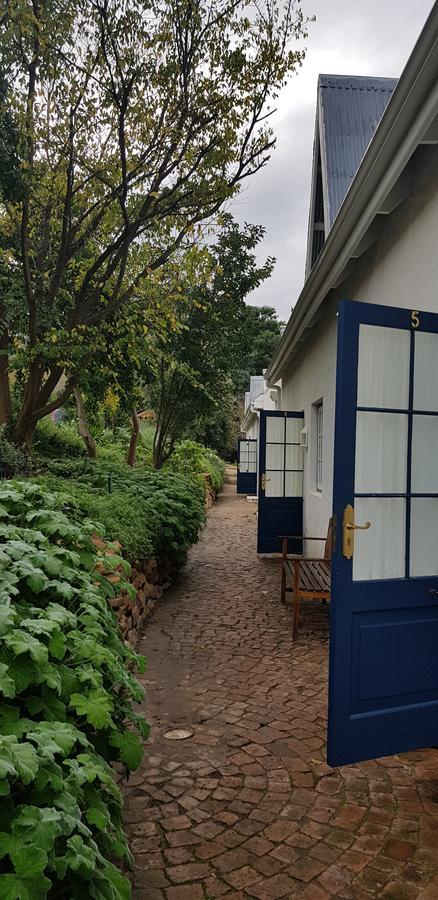 La Cotte Forest Cottages Franschhoek Buitenkant foto