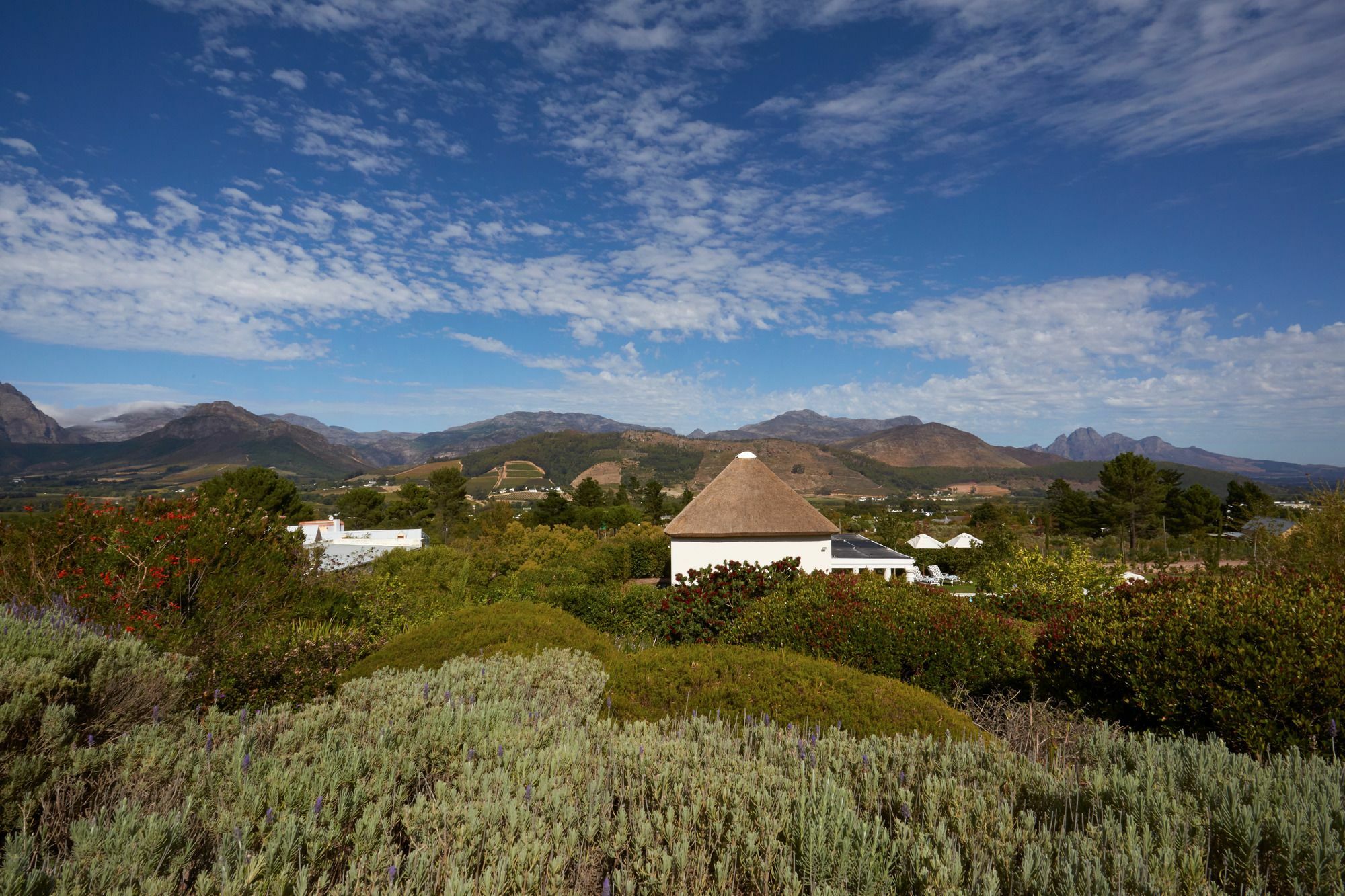La Cotte Forest Cottages Franschhoek Buitenkant foto