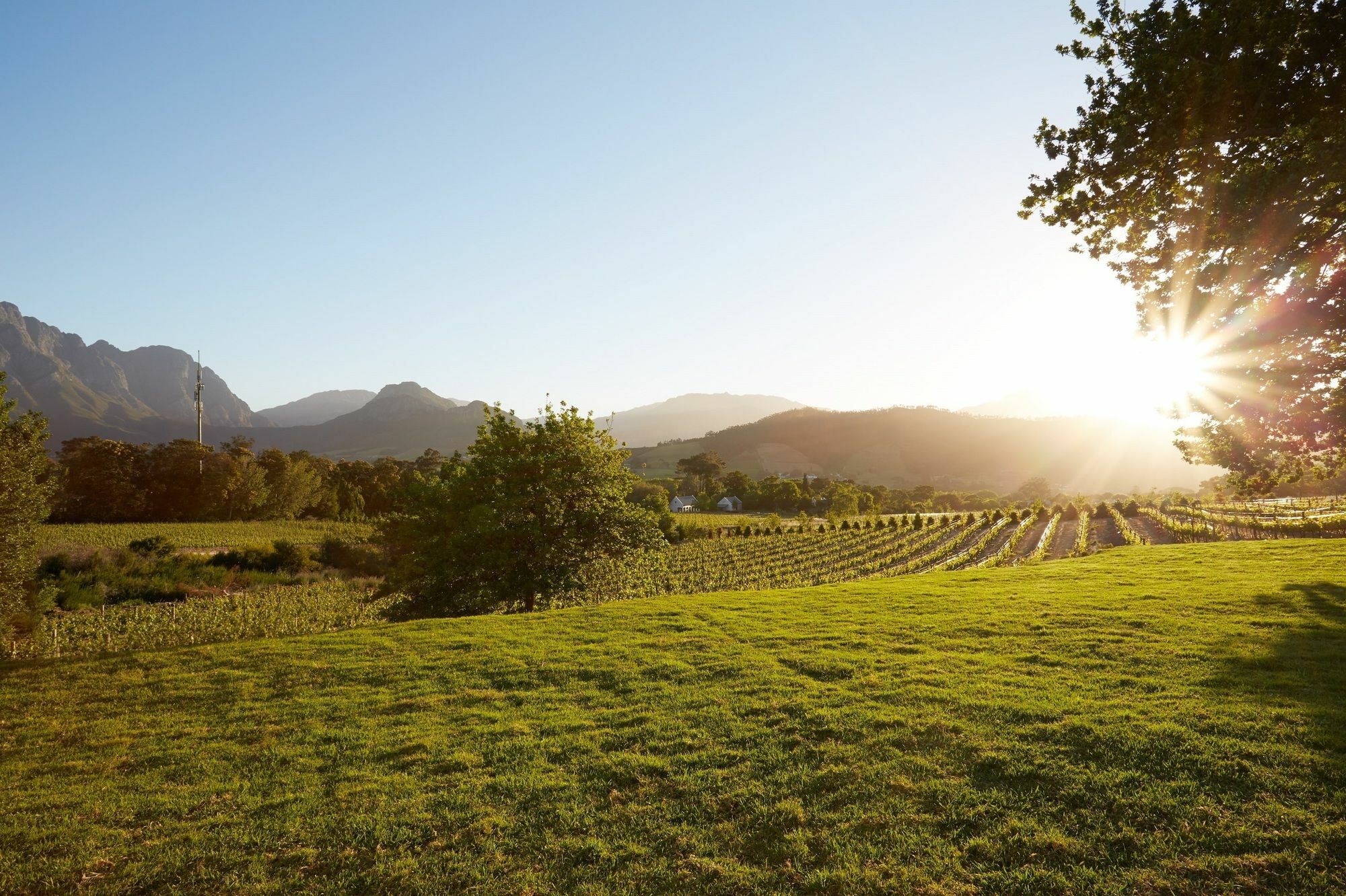 La Cotte Forest Cottages Franschhoek Buitenkant foto